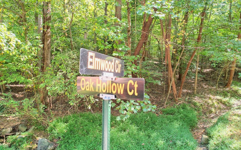 0 Oak Hollow Ct unit 328869, Ellijay, GA 30540 - photo 1