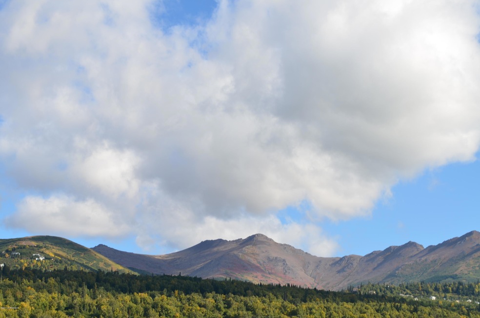 Potter Highlands 031