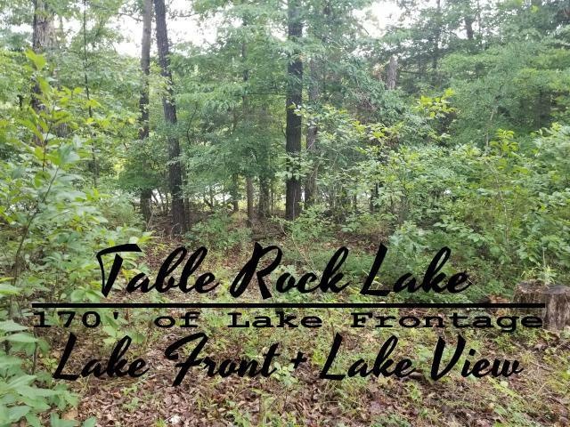 Lot 6 Montego Dr, Ruth B Rural Township, MO 65686 - photo 1