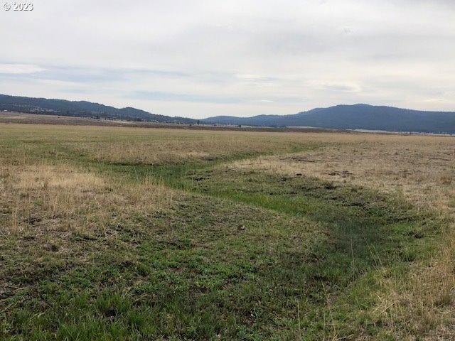 0 Short Beech Creek unit 23559792, Fox, OR 97856 - photo 1
