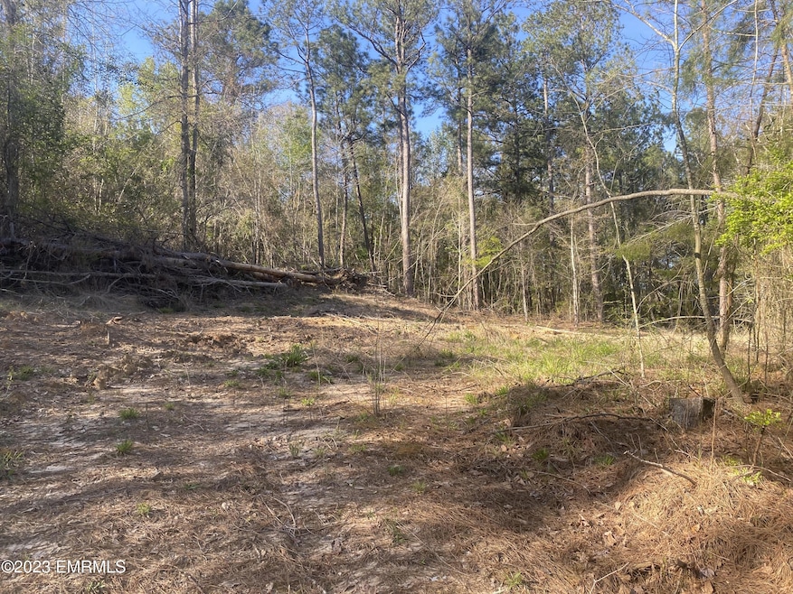 0 Road 171 unit 23-238, Carthage, MS 39350 - photo 1