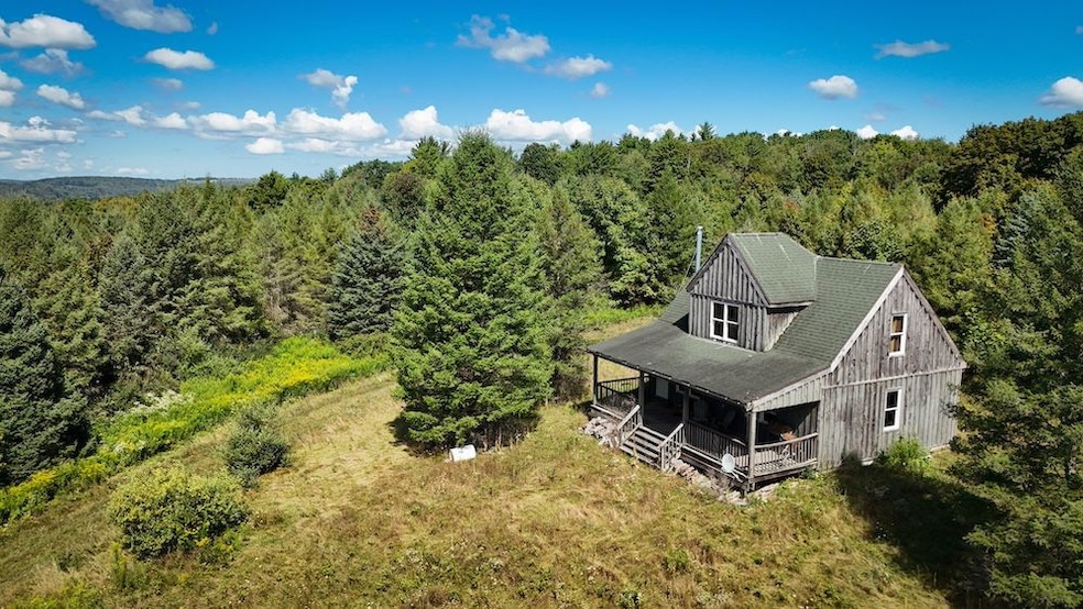 Dr Knapp Rd S unit LotWP002, Newark Valley, NY 13811 - photo 1