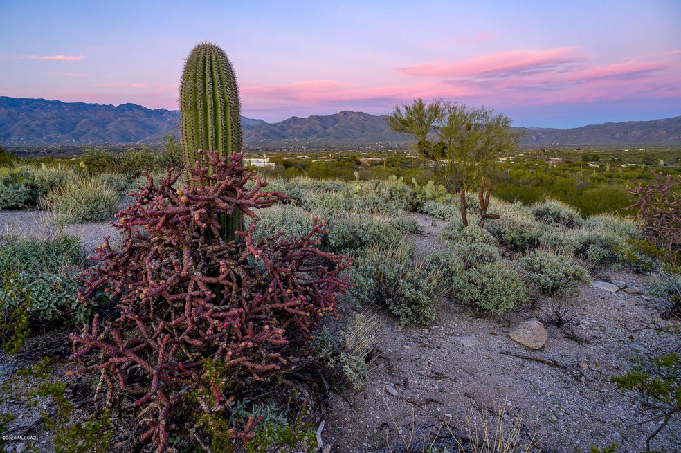 TBD S Pinto Place Parcel 2, Tucson, AZ 85748 - photo 1