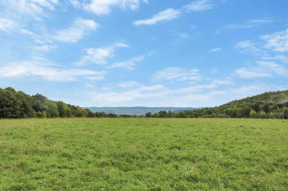 249 Flint Hill Rd, Amenia, NY 12501 - photo 1