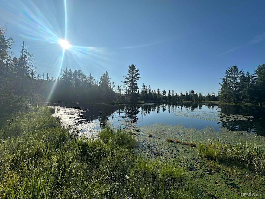 Off Indian Lake Rd, Michigamme, MI 49861 - photo 1