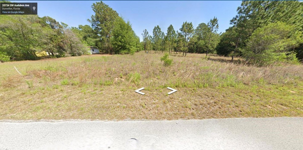 0 SW Audubon Ave unit MFRO6211488, Dunnellon, FL 34431 - photo 1