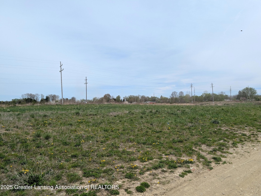 0 Saint Johns Chase, Grand Ledge, MI 48837 - photo 1