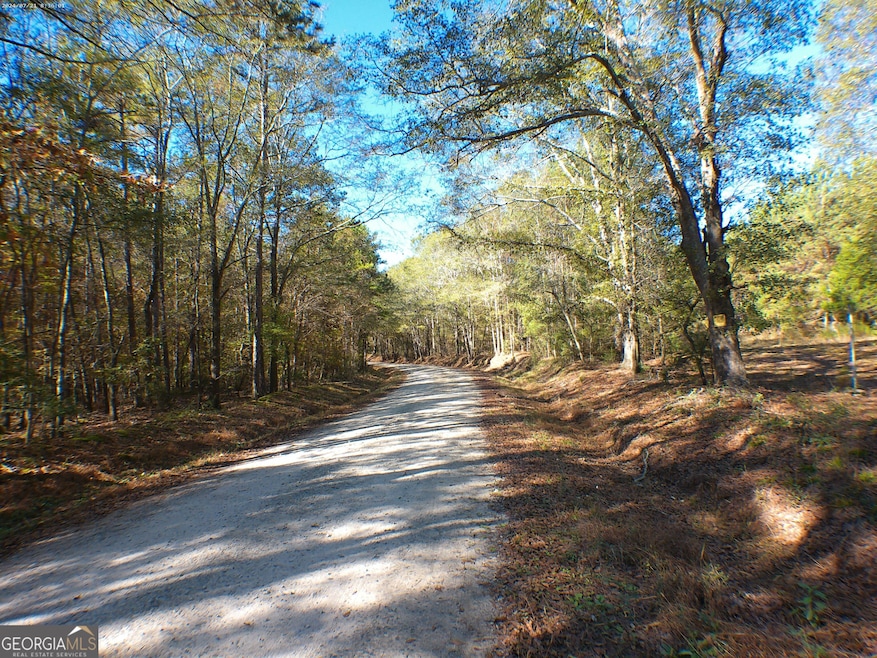 0 Dusty Rd unit 10569563, Bowman, GA 30624 - photo 1