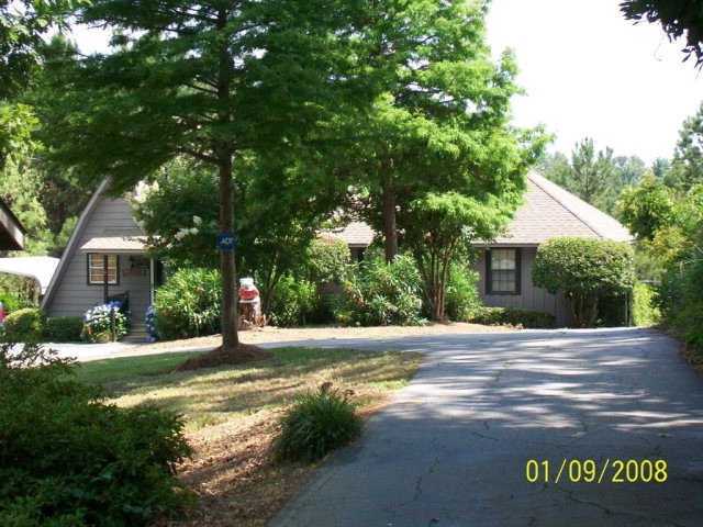 Main View