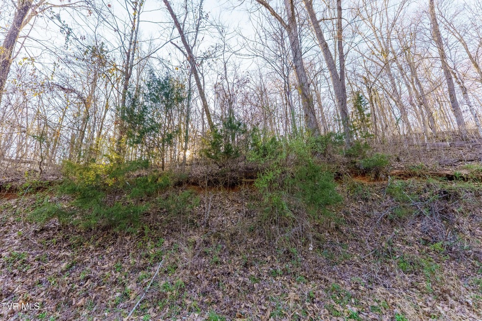 _DSC6382-HDR
