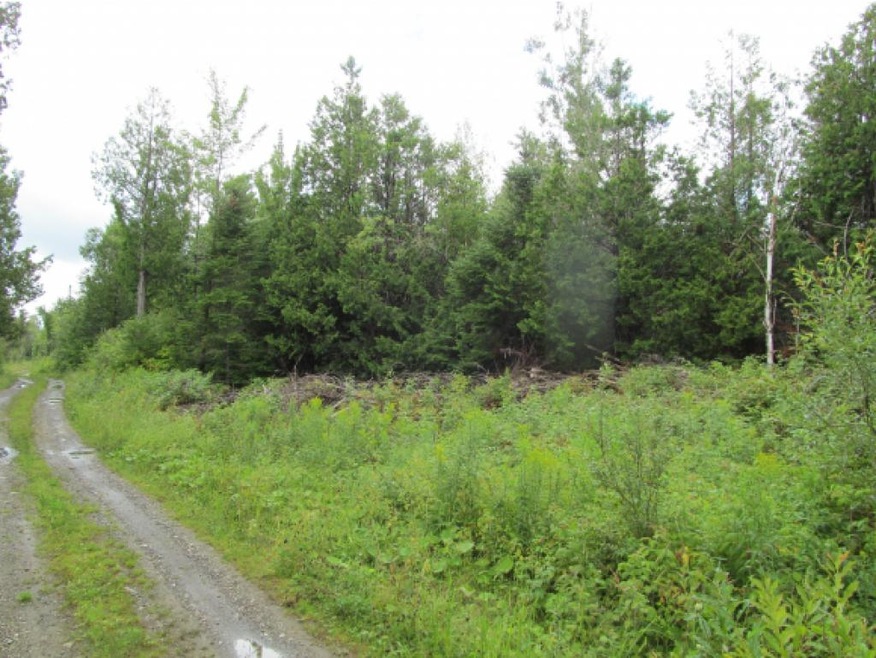 0 Heritage unit 4443175, Stewartstown, NH 03597 - photo 1