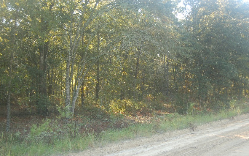 0 Reno Way unit 91449, Fort White, FL 32038 - photo 1