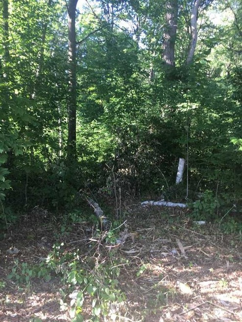 10647 Canada Way, Birch Run, MI 48415 - photo 1