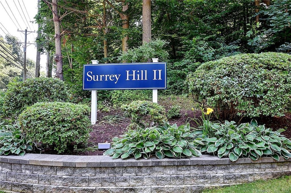 252 Conestoga Way, Glastonbury, CT 06033 - photo 1