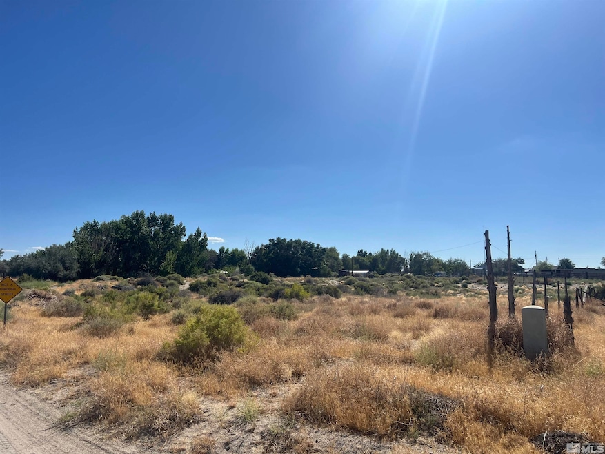 5839 Macpherson Ln, Fallon, NV 89406 - photo 1