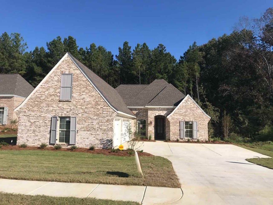 110 Brisco St, Madison, MS 39110 - photo 1