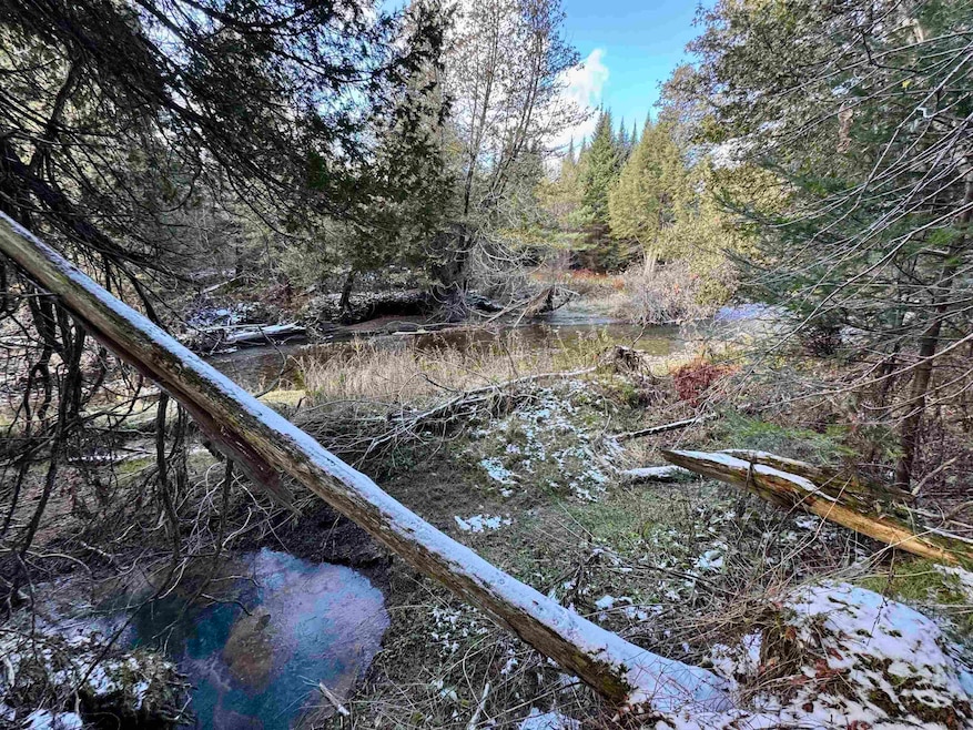 663 Ferguson Rd, Barnet, VT 05821 - photo 1