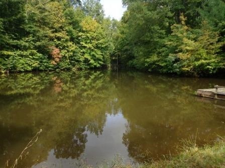 Stocked pond can be seen from home.