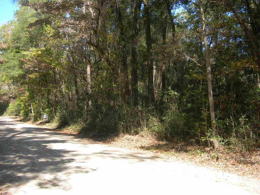 xx Neeley Rd unit x, Crawfordville, FL 32327 - photo 1