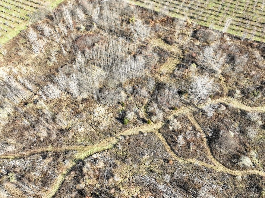 Vl 32nd Ave, Covert, MI 49043 - photo 1