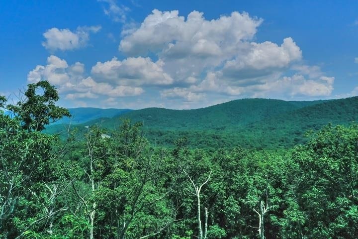 TBD Laurel Ridge Ln, Lyndhurst, VA 22952 - photo 1