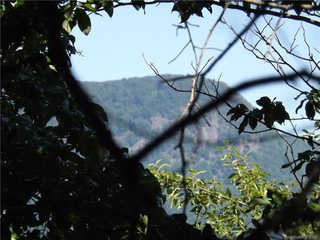 This is a view from the property.
