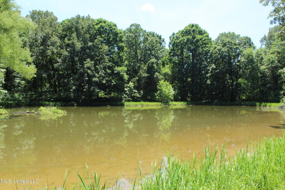 3 ACRES Nesbit,MS 38651