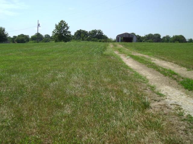 Primary Photo
