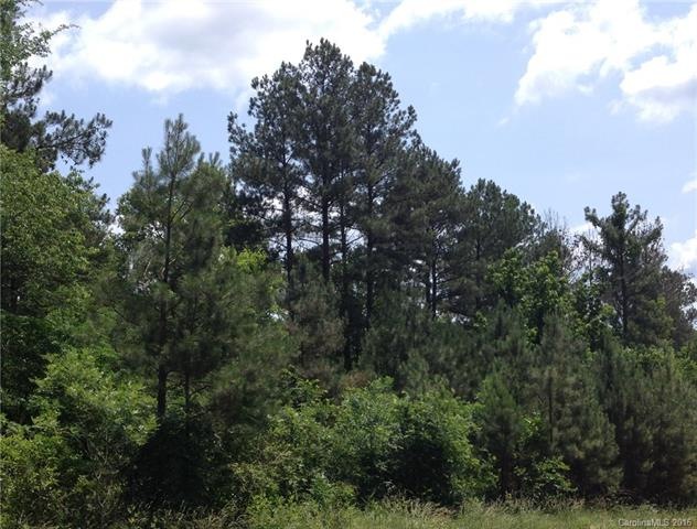 Prime Building Lot 1 Acre
