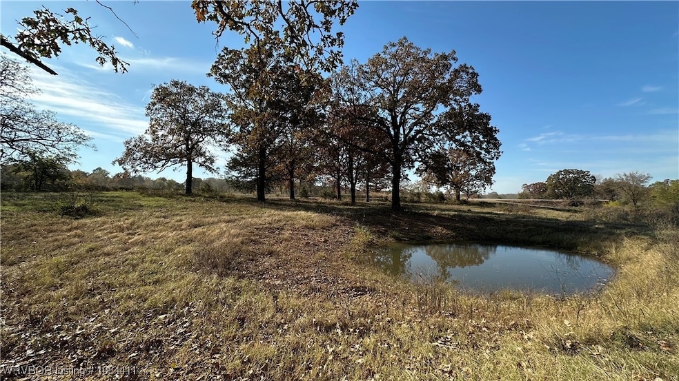 40834 Old Pike Rd, Howe, OK 74940 - photo 1