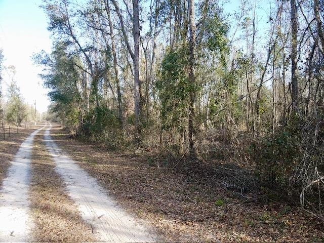 0 NE Cedar Trail unit 389161, Pinetta (Madison County), FL 32350 - photo 1