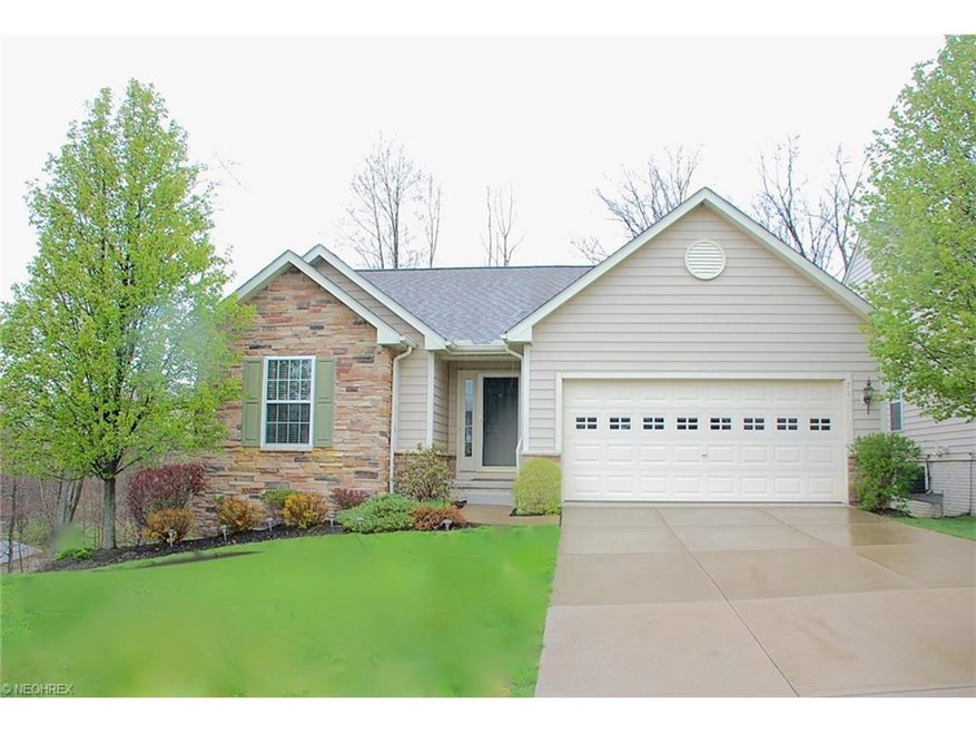 Open and Beautiful Ranch with Walk out basement in