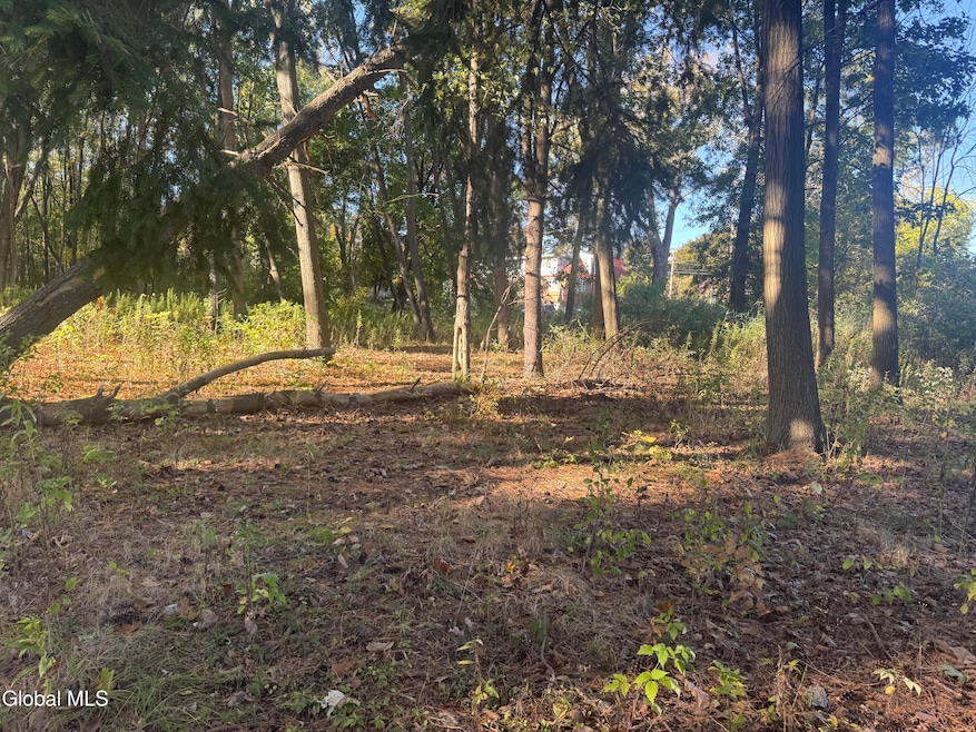 2482 Troy Schenectady Rd, Niskayuna, NY 12309 - photo 1