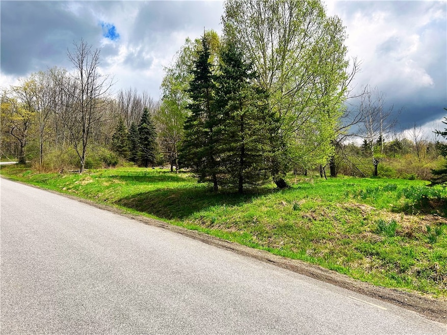 0 Sisson Hill Rd unit R1607206, Unadilla, NY 13849 - photo 1