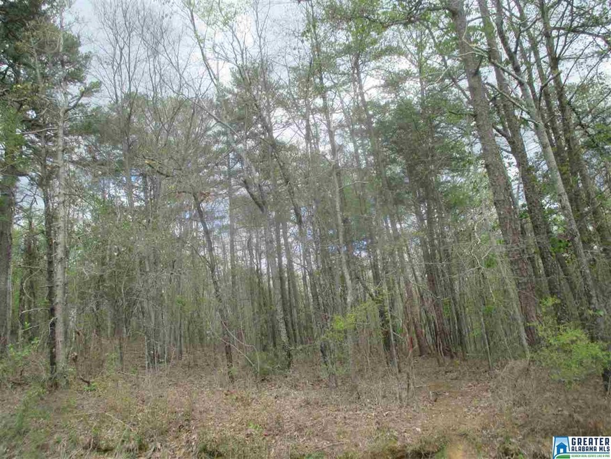 9.9 acres of good land, wooded, close to schools a