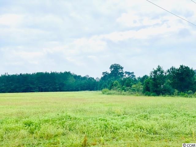 TBD W Brownway Cir, Conway, SC 29527 - photo 1