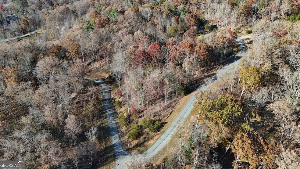 LOT 196 Springwinds Dr, Cleveland, GA 30528 - photo 1