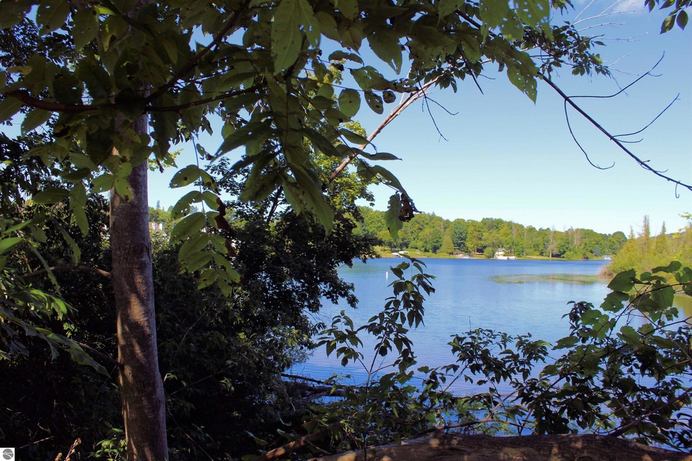 00 Cedar St, Central Lake, MI 49622 - photo 1