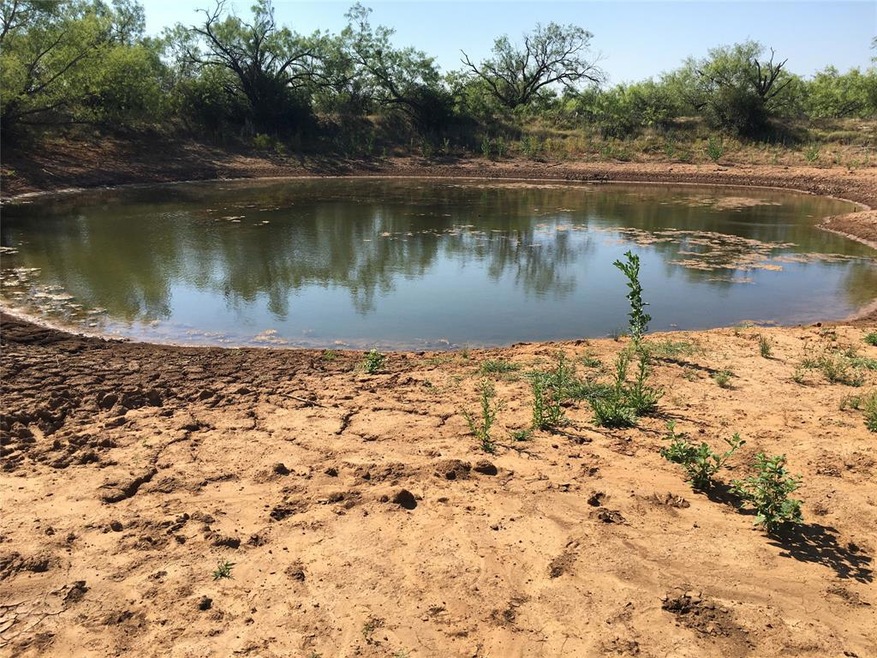 12368 County Road 129, Brownwood, TX 76801 - photo 1