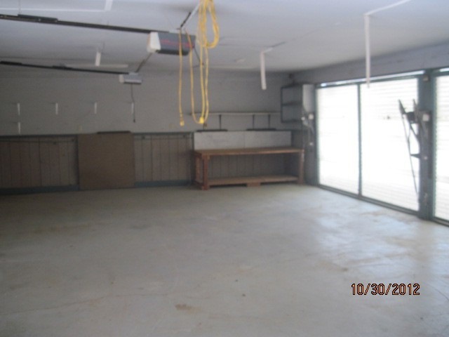 fish hill bush 005