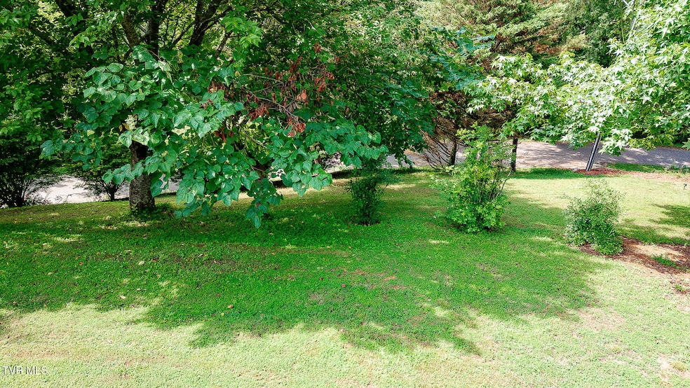 0 Laurel St, Weber City, VA 24290 - photo 1