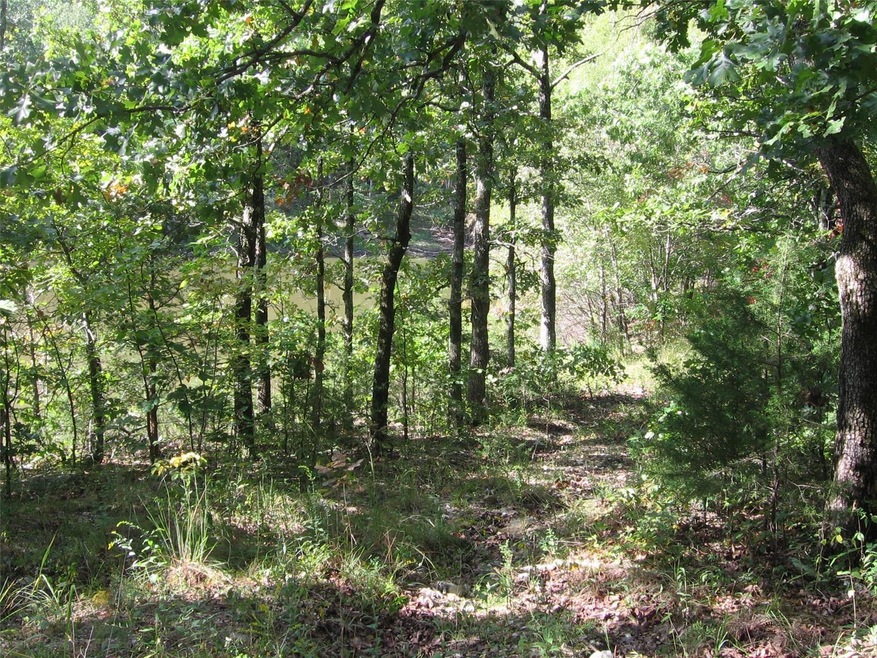 0 County Road 7230, Cold Spring Township, MO - photo 1