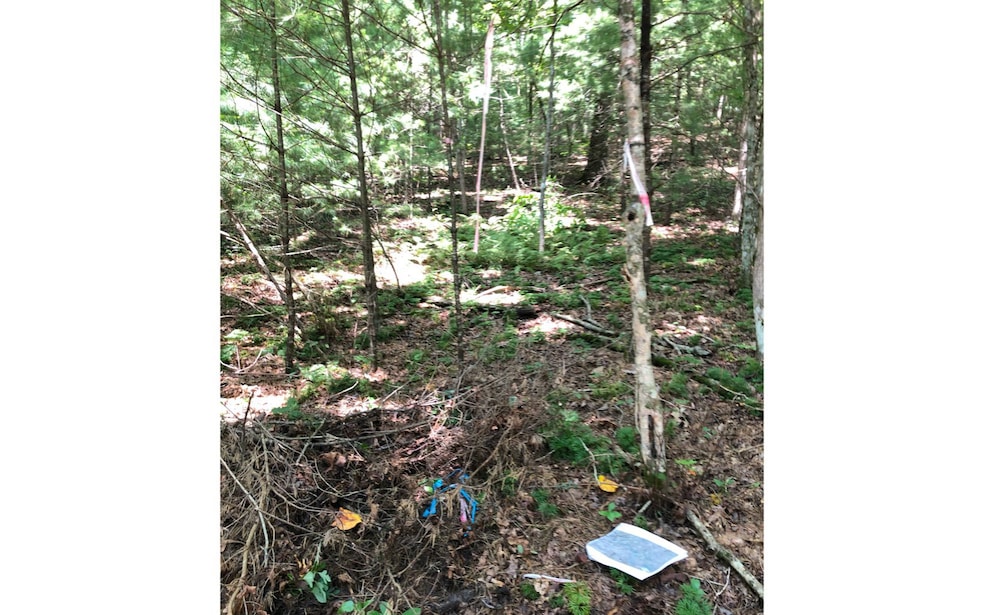 LOT 9 Dover Falls Trail, Ellijay, GA 30540 - photo 1