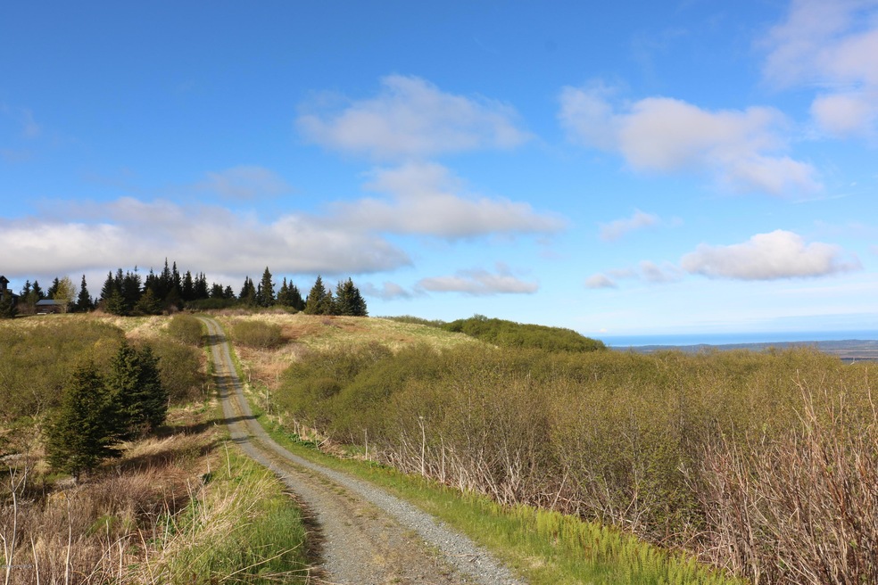 34371 Bluegrass St, Anchor Point, AK 99556 - photo 1