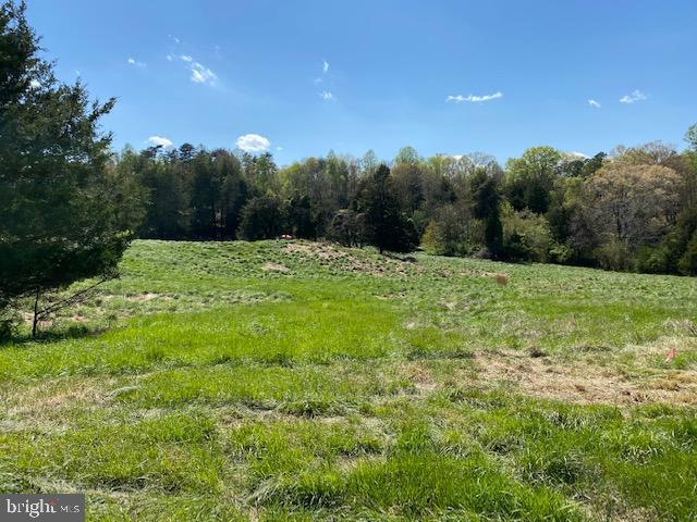 Lot D Stonehouse Mountain Rd, Catalpa, VA 22701 - photo 1