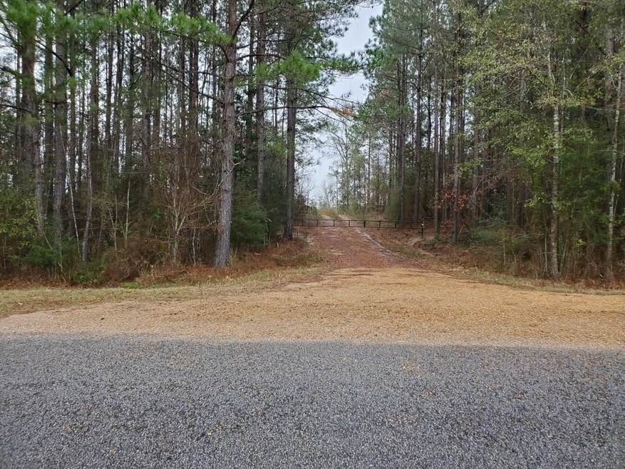 Xx Enterprise Rd, McComb, MS 39648 - photo 1