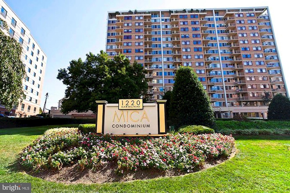 Mica Condominiums unit 808, Silver Spring, MD 20910 - photo 1
