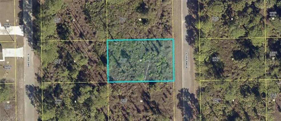 740 Roma Ave S, Lehigh Acres, FL 33974 - photo 1