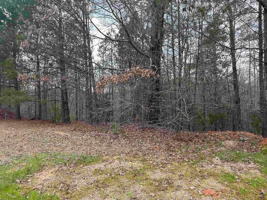 322 Wilsons Creek Bend, Bonaire, GA 31005 - photo 1