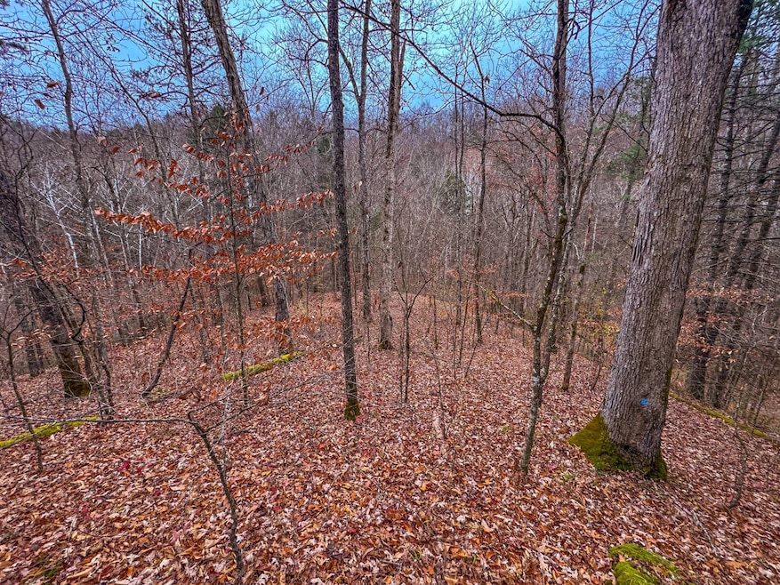 0 County Road 30 unit 11616318, MacFarlan, WV 26148 - photo 1